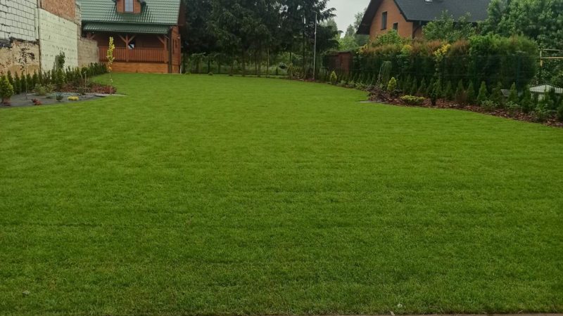 Trawa z rolki SanGRASS
