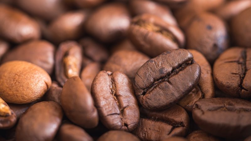 Wynajem ekspresów do kawy – czy to ma sens?